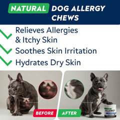 STRELLALAB bottle of chews; easy daily supplement for dogs.