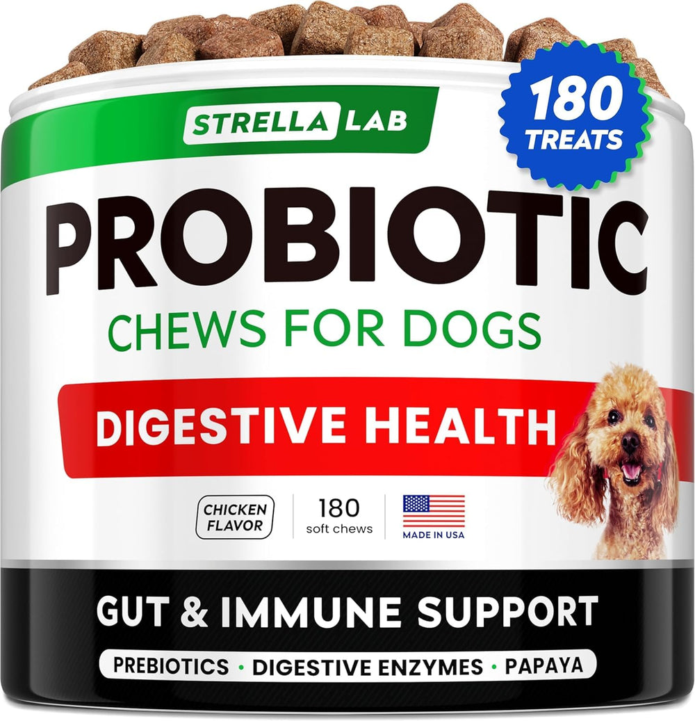 STRELLALAB Dog Probiotics Chews jar showcases readable gut health support in a practical container