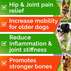 STRELLALAB MSM turmeric dog supplement underlines mobility and comfort cues