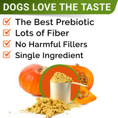 STRELLALAB Pumpkin with probiotic pairing – natural fiber complements gut-supporting chews