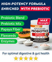 StrellaLab Vet Strength bacon-flavored chews entice dogs while supporting digestive wellness.