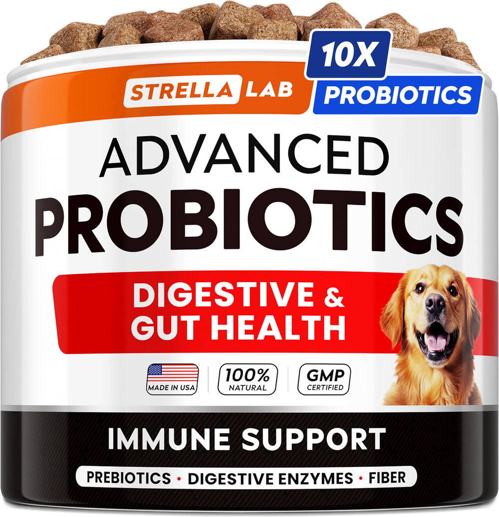 StrellaLab Vet Strength dog probiotic treats bottle close-up for gut support.