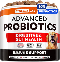 StrellaLab Vet Strength dog probiotic treats bottle close-up for gut support.