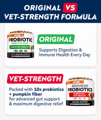 StrellaLab Vet Strength jar with 120 chews offering a convenient digestive support routine.