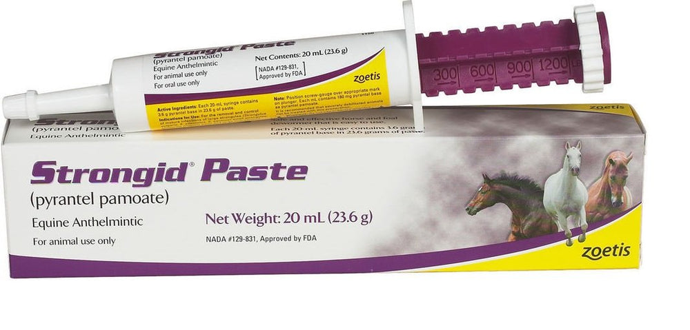 Strongid Paste horse dewormer syringe close-up showing easy dosing for horses