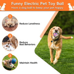 SUJF interactive dog ball anti-bite TPU shell durability