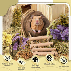 Sukh dried floral mix close-up highlights textures for sensory exploration.