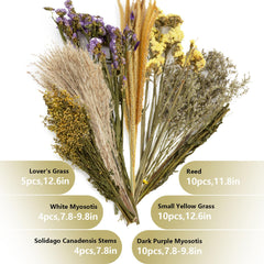 Sukh habitat enrichment branch stems provide climbing and nibbling variety.