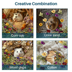 A curious hamster explores Sukh bedding, enjoying enrichment and a more natural-feeling burrow.