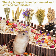 Sukh hamster hideout cage decor creating a cozy retreat area.