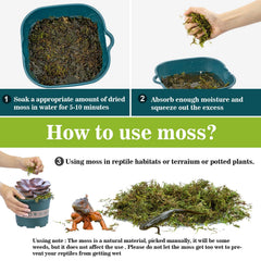 Sukh musgo sphagnum, sustrato suave para reptiles que requieren humedad.