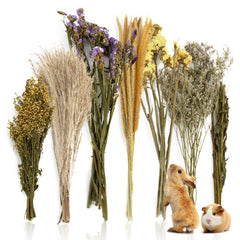 Sukh natural hamster herb bedding flower mix close-up showing dried blooms for enrichment.