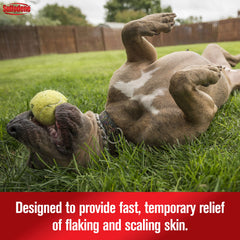 Sulfodene bath-time setup image suggests soothing grooming routine.