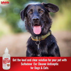 Sulfodene ear cleaner applicator tip for easy administration.