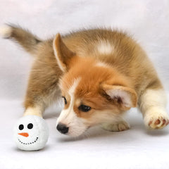Sumind snowman ball dog toy four-styles design supports diverse games.