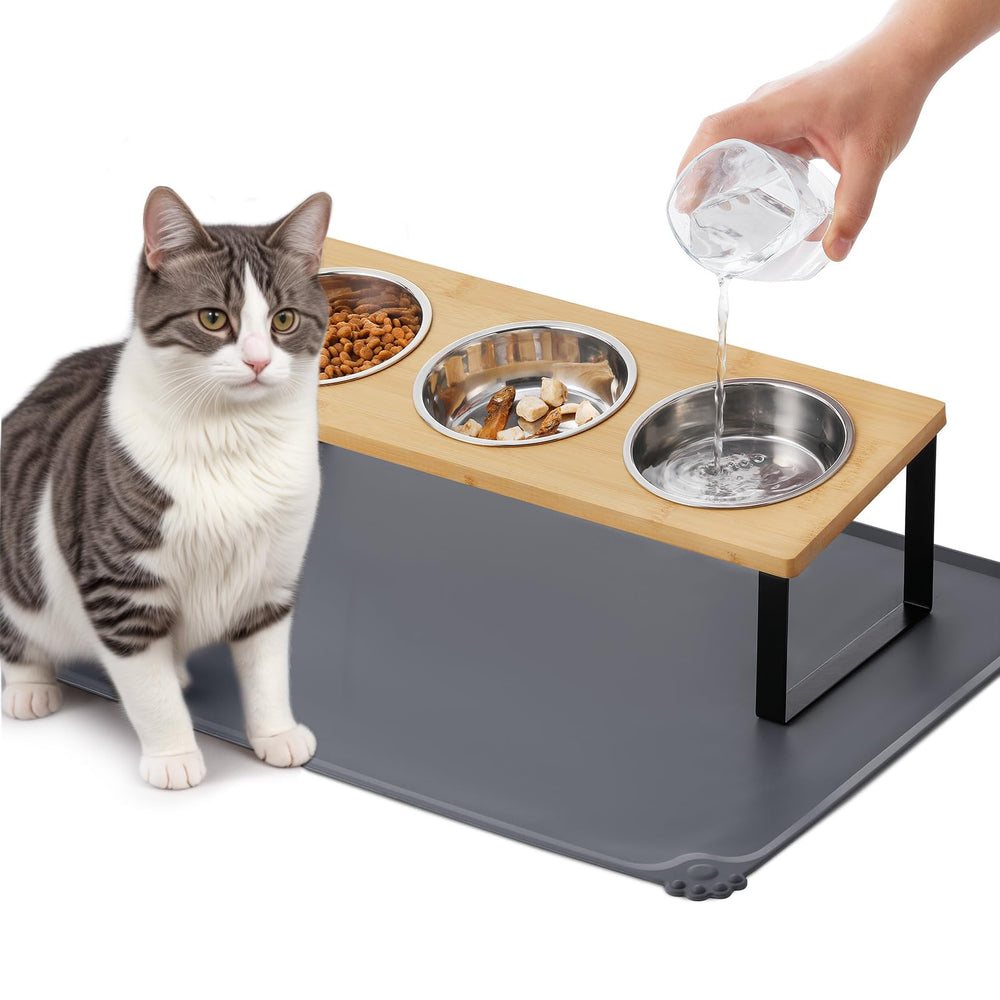 Summark upgraded elevated cat bowls with a tilted stand for easier meals
