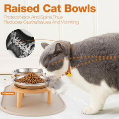 Summark whisker-friendly cat bowls shown in a tidy feeding setup