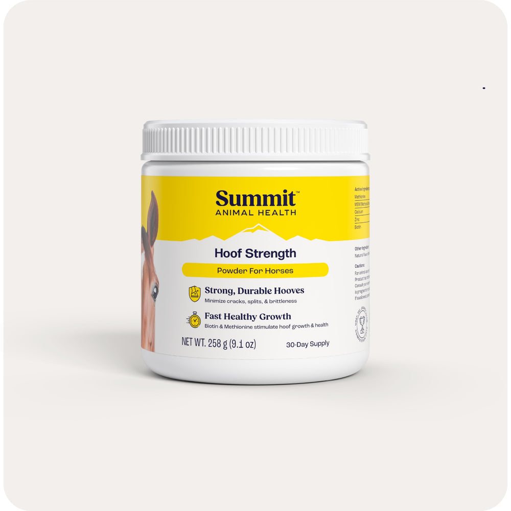 Summit Equine Hoof Strength Powder bottle promotes strong, healthy hooves for daily riding.