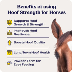 Summit Equine Hoof Strength Powder scoop demonstrates easy daily dosing for hoof health.