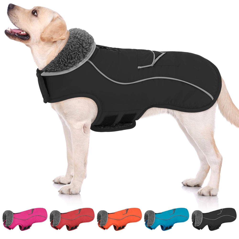 SUNFURA dog coat back view highlights full coverage for cold weather walks.