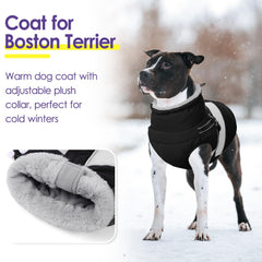 SUNFURA dog coat with furry collar provides cozy protection against chilly winds.