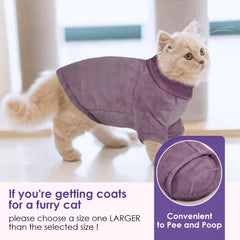 SUNFURA hairless cat wearing coat provides warmth and comfort