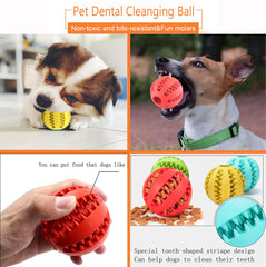 Sunglow dog toy ball stuffed with treats to boost enrichment during play.