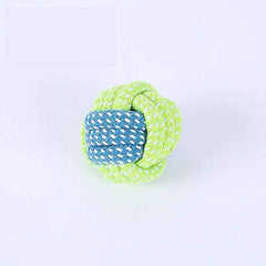 Sunglow small-dog use shows compact size ideal for training