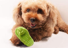 Sunglow washable cotton material image emphasizing easy cleaning