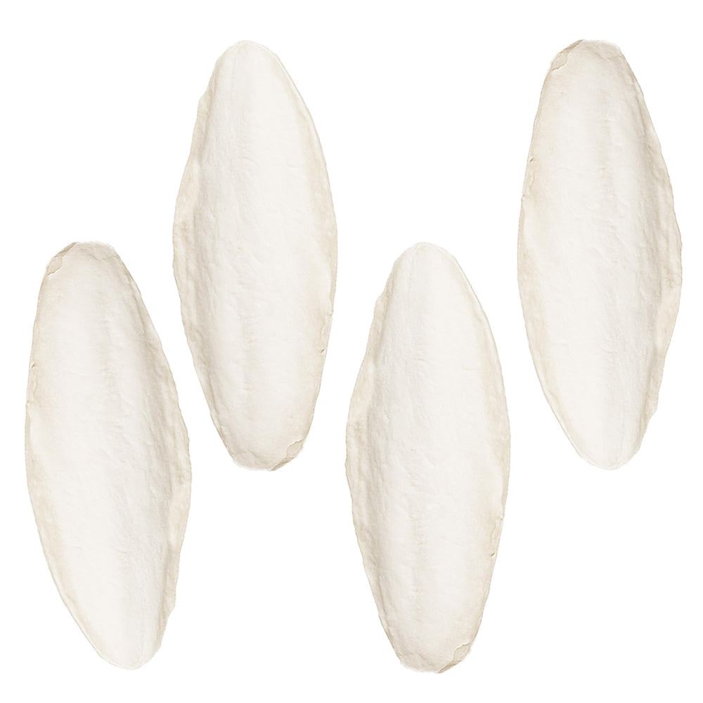 SunGrow 4pack large 6-inch cuttlefish bone for cockatiels supports calcium and bone health