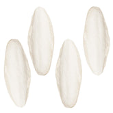 SunGrow 4pack large 6-inch cuttlefish bone for cockatiels supports calcium and bone health