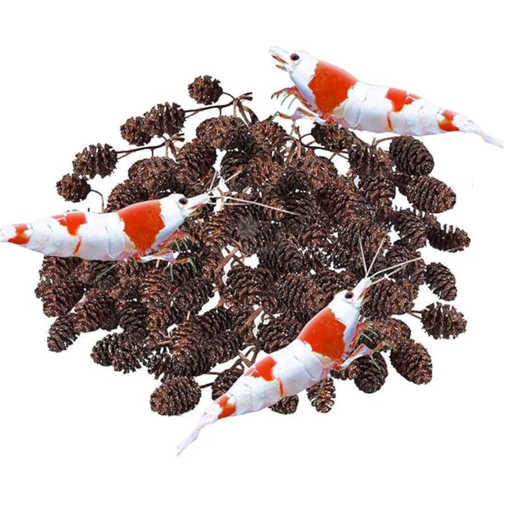 SunGrow Alder Cones close-up showing natural texture for shrimp habitat enrichment.