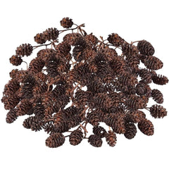 SunGrow Alder Cones pack of 100pcs ready for freshwater tanks, flexible setup.