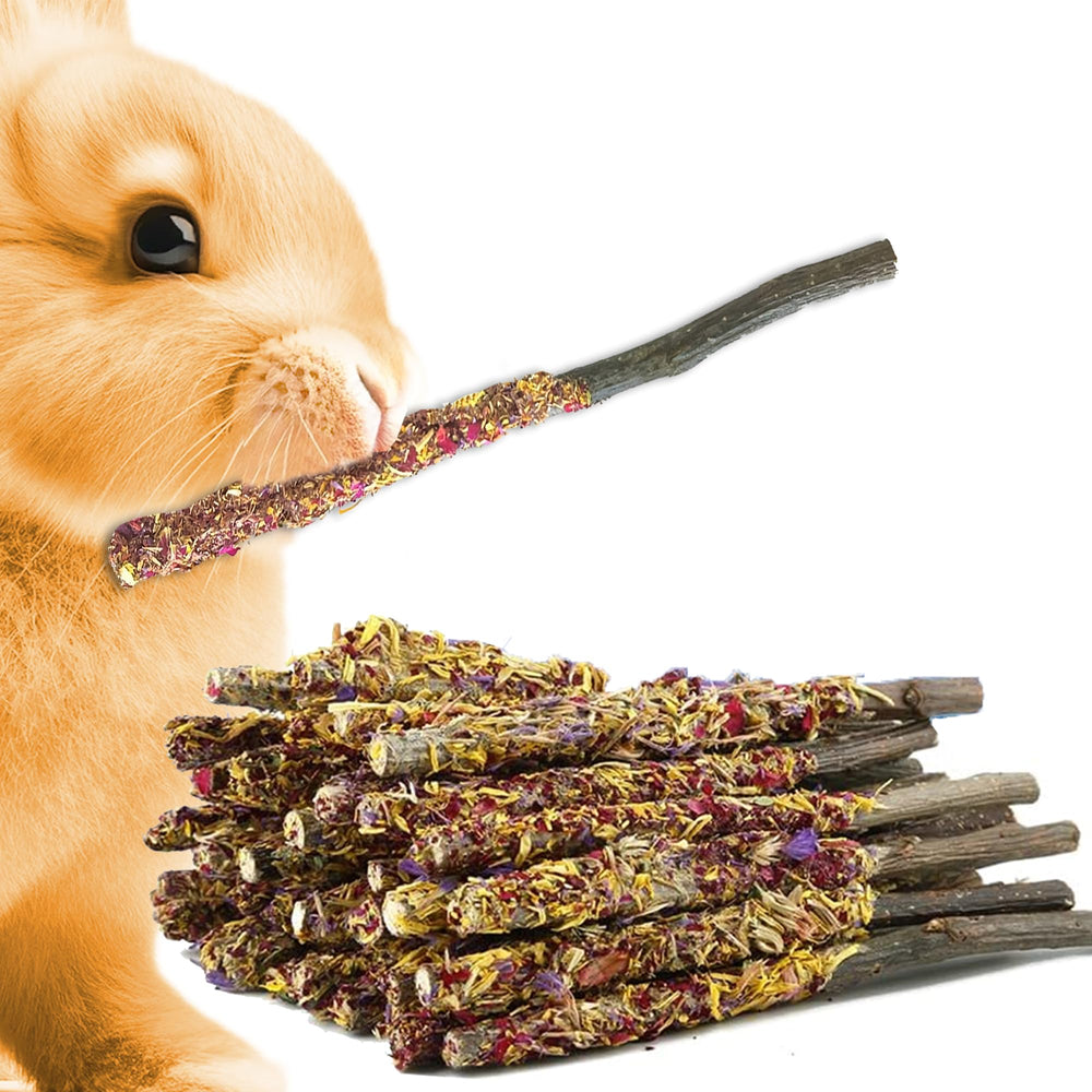 SunGrow Apple Sticks pack 20pcs engaging small pets with natural chewing for oral care