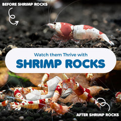 Sungrow aquarium decor rocks displayed in living room bowl for natural look.
