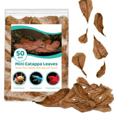 SunGrow Betta Catappa Leaves 50-pack creates natural habitat and calmer water for bettas