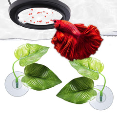 SunGrow Betta Ring resting spot in action for surface lounging.