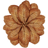 SunGrow catappa leaves bundle enhances aquarium aesthetics and natural habitat.