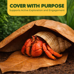 SunGrow catappa leaves cellulose-digestive-benefits close-up illustrates digestion support.