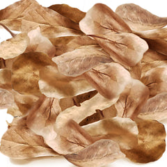 SunGrow catappa leaves in tank create tea-colored water and stress-relief ambiance for fish.