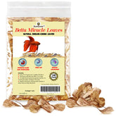 SunGrow catappa leaves pack 100pcs gently condition water and lower pH.
