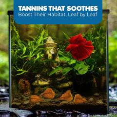 SunGrow Catappa leaves in-tank ambience demonstrates calming effect and aesthetic appeal