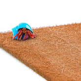 SunGrow Coco Fiber Mat on terrarium bottom supports humidity and comfortable movement.