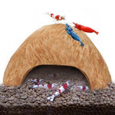 SunGrow Coconut Aquarium Shrimp Cave compact shelter provides privacy and spawning