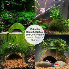 SunGrow Coconut Aquarium Shrimp Cave greenery adhesion adds color and texture