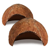SunGrow Crested Gecko Coconut Huts top view shows a compact climbing hide for enrichment.