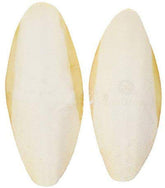 SunGrow cuttlefish bone 6in pack front view shows calcium-rich bone for pets