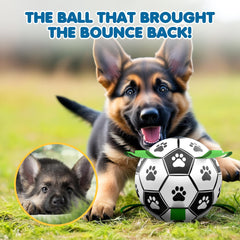 SunGrow dog soccer ball in-action demonstrates fetch and physical activity