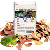 SunGrow Dwarf Frog Catappa leaves pack on substrate offers natural cover and tannin benefits.