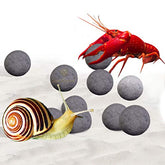 SunGrow energy balls pack-10-pieces shown for invertebrate nutrition and tank decoration.